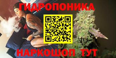 метадон Аргун