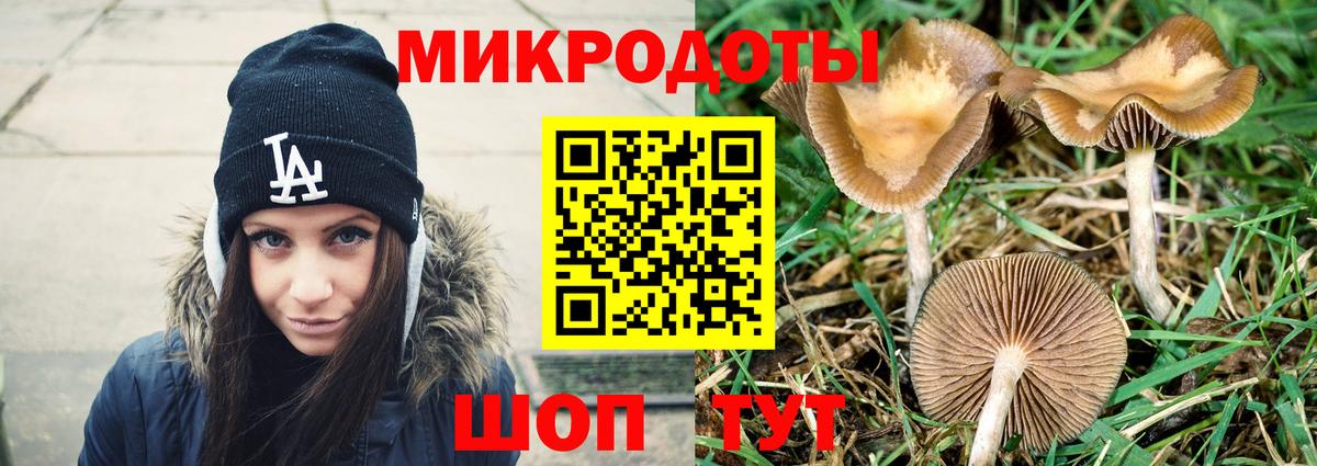 Псилоцибиновые грибы Cubensis  Галлюциногенные грибы MAGIC MUSHROOMS  Вход с VPN  Ачхой-Мартан 